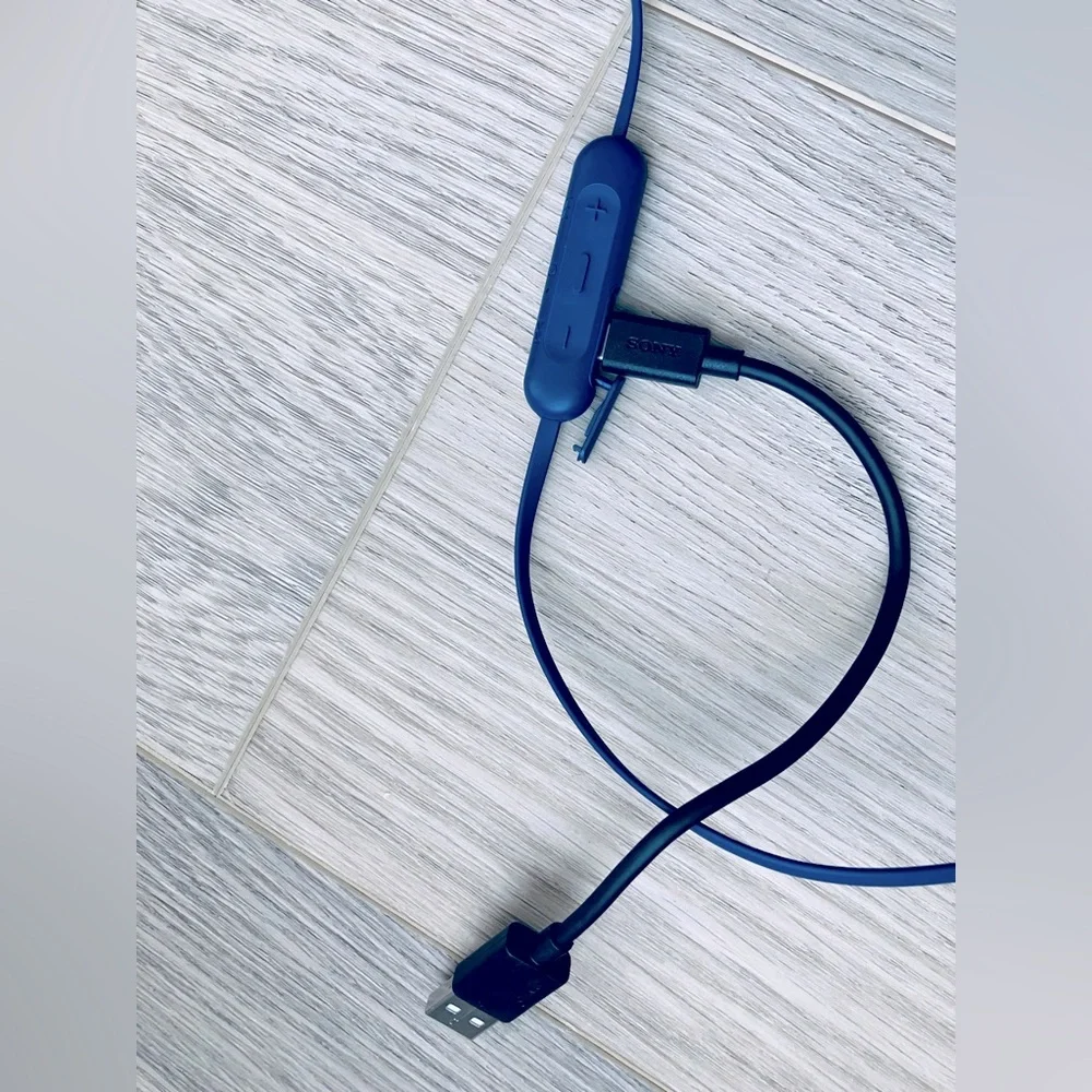 Sony WI-C310 Wireless In-Ear Headphones w/ Mic – Bluetooth – USB-C